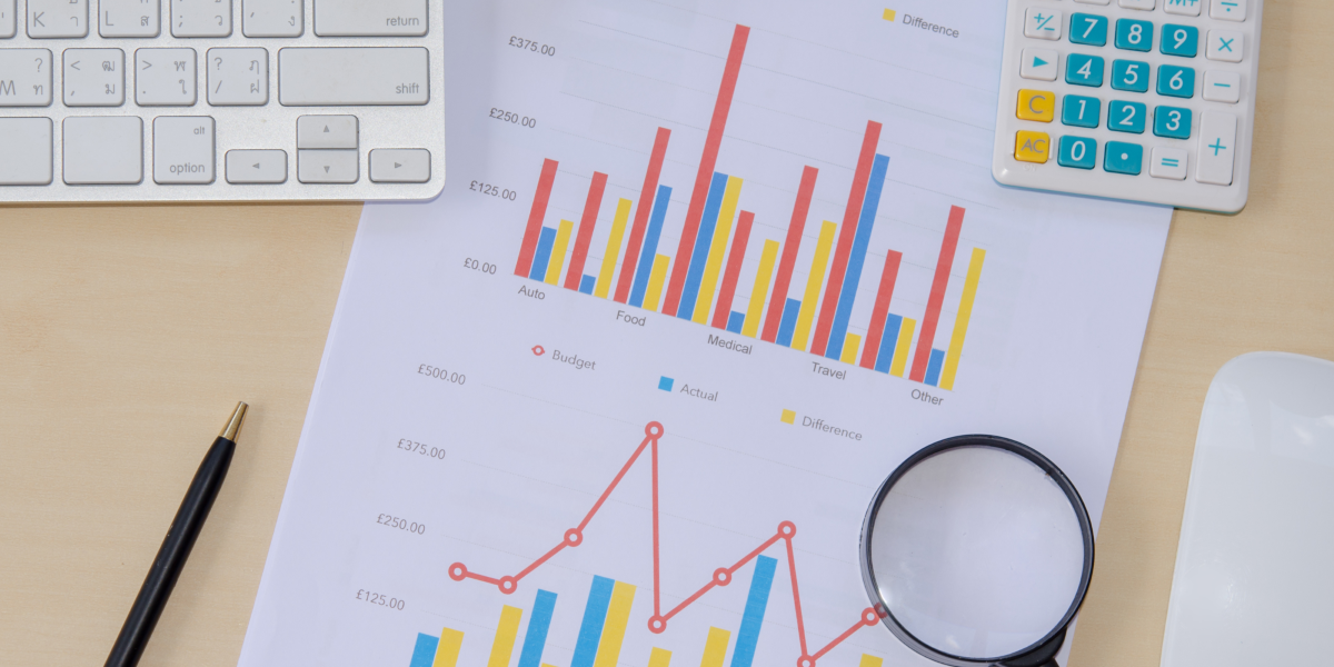 Business Structure Options