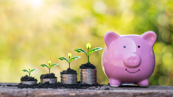 Mini Budget Newsletter